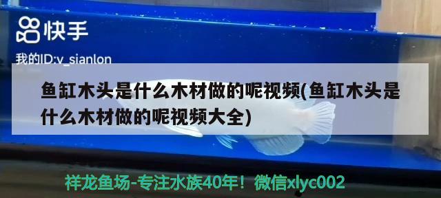 魚缸木頭是什么木材做的呢視頻(魚缸木頭是什么木材做的呢視頻大全) 三色錦鯉魚