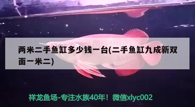 兩米二手魚缸多少錢一臺(tái)(二手魚缸九成新雙面一米二) 白子金龍魚