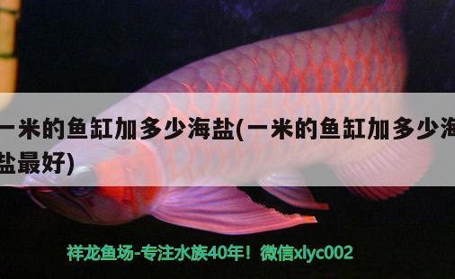 一米的魚缸加多少海鹽(一米的魚缸加多少海鹽最好)