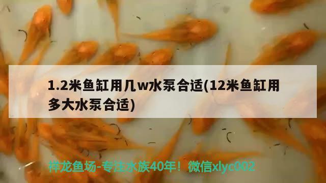 1.2米魚缸用幾w水泵合適(12米魚缸用多大水泵合適)