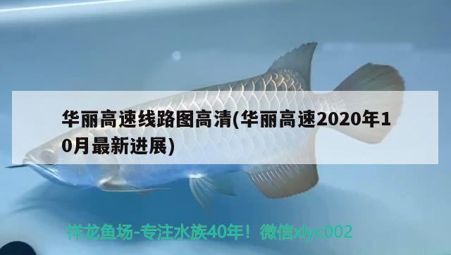 華麗高速線路圖高清(華麗高速2020年10月最新進(jìn)展)