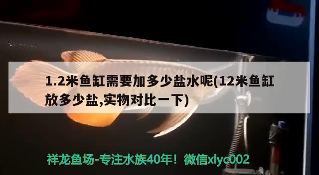 1.2米魚(yú)缸需要加多少鹽水呢(12米魚(yú)缸放多少鹽,實(shí)物對(duì)比一下)