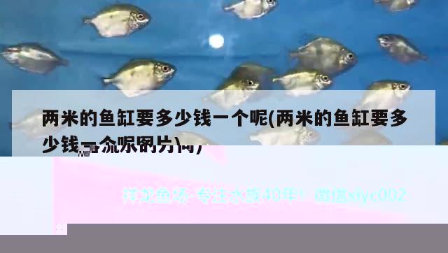 魚缸過濾器出水管在水里還是在水外(魚缸過濾器流水的方向)