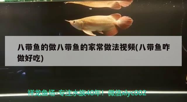 八帶魚的做八帶魚的家常做法視頻(八帶魚咋做好吃)