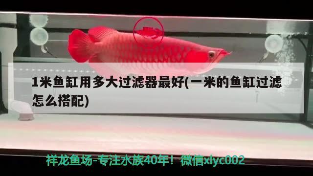 1米魚缸用多大過濾器最好(一米的魚缸過濾怎么搭配) 三間鼠魚