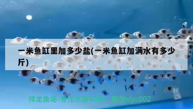 一米魚缸里加多少鹽(一米魚缸加滿水有多少斤)