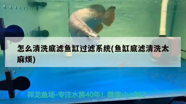 怎么清洗底濾魚缸過濾系統(tǒng)(魚缸底濾清洗太麻煩) 黃金河虎魚