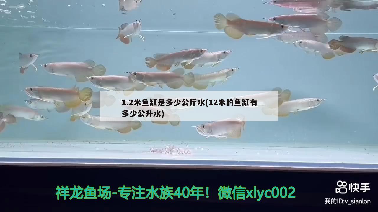 1.2米魚缸是多少公斤水(12米的魚缸有多少公升水)