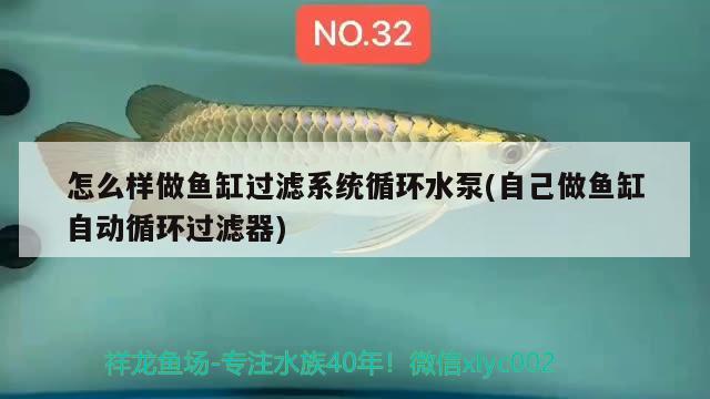 怎么樣做魚缸過(guò)濾系統(tǒng)循環(huán)水泵(自己做魚缸自動(dòng)循環(huán)過(guò)濾器) 造景/裝飾