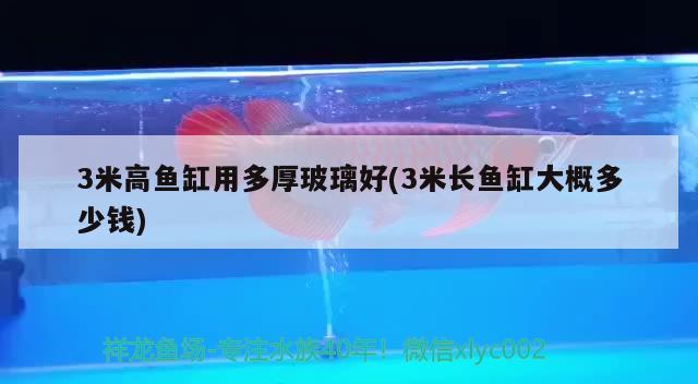 3米高魚缸用多厚玻璃好(3米長(zhǎng)魚缸大概多少錢) 魚缸風(fēng)水