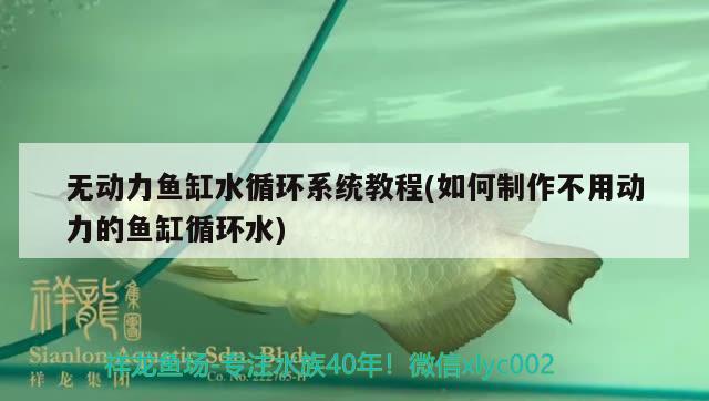 無動力魚缸水循環(huán)系統(tǒng)教程(如何制作不用動力的魚缸循環(huán)水) 照明器材