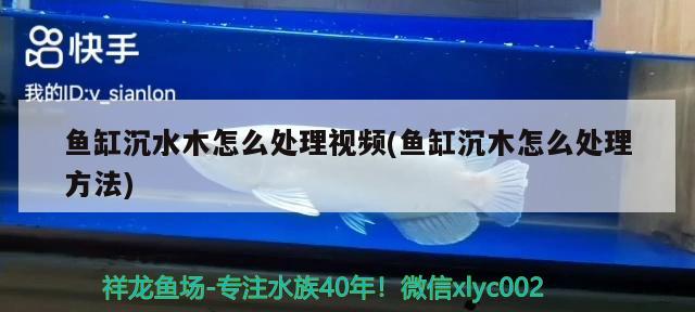 魚缸沉水木怎么處理視頻(魚缸沉木怎么處理方法) 魚缸凈水劑