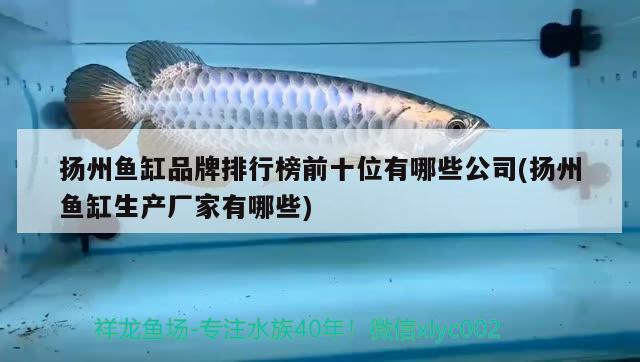 揚州魚缸品牌排行榜前十位有哪些公司(揚州魚缸生產(chǎn)廠家有哪些)