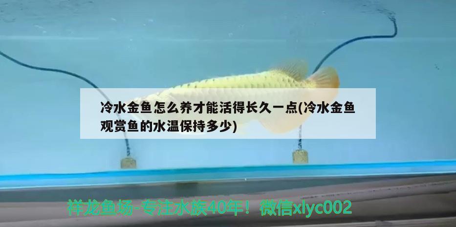 冷水金魚怎么養(yǎng)才能活得長(zhǎng)久一點(diǎn)(冷水金魚觀賞魚的水溫保持多少) 觀賞魚