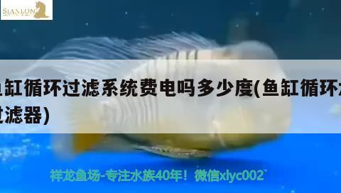 魚缸循環(huán)過濾系統(tǒng)費電嗎多少度(魚缸循環(huán)水過濾器)