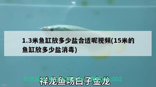 1.3米魚缸放多少鹽合適呢視頻(15米的魚缸放多少鹽消毒) 黃金河虎魚