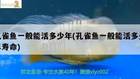 孔雀魚一般能活多少年(孔雀魚一般能活多少年壽命)