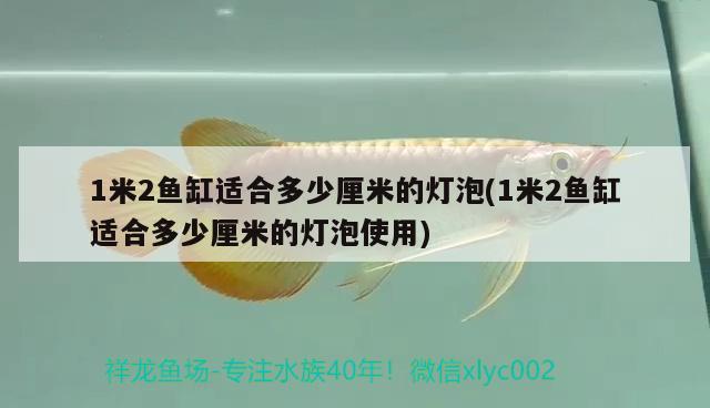 1米2魚缸適合多少厘米的燈泡(1米2魚缸適合多少厘米的燈泡使用)