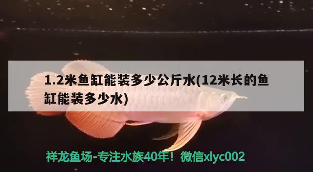 1.2米魚(yú)缸能裝多少公斤水(12米長(zhǎng)的魚(yú)缸能裝多少水)