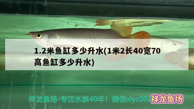 1.2米魚缸多少升水(1米2長(zhǎng)40寬70高魚缸多少升水)