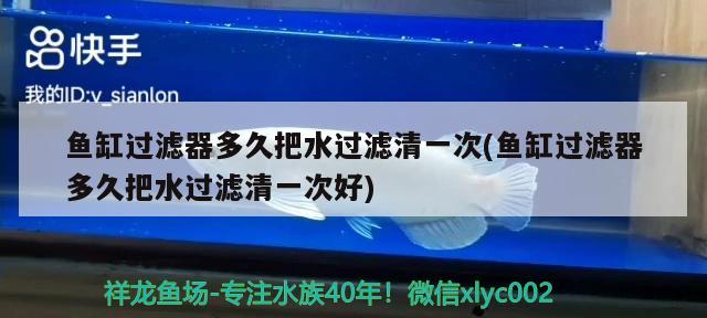 魚(yú)缸過(guò)濾器多久把水過(guò)濾清一次(魚(yú)缸過(guò)濾器多久把水過(guò)濾清一次好)