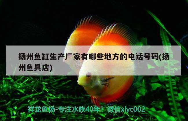 揚(yáng)州魚(yú)缸生產(chǎn)廠(chǎng)家有哪些地方的電話(huà)號(hào)碼(揚(yáng)州魚(yú)具店)