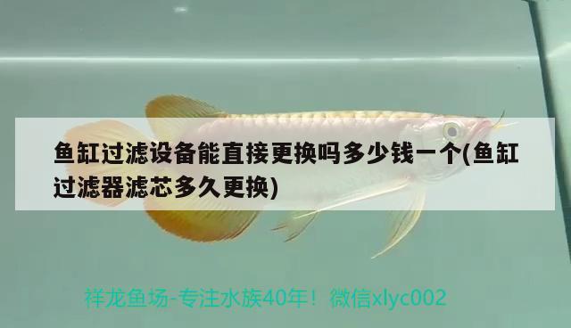 魚缸過濾設(shè)備能直接更換嗎多少錢一個(魚缸過濾器濾芯多久更換)