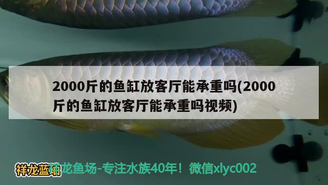 2000斤的魚缸放客廳能承重嗎(2000斤的魚缸放客廳能承重嗎視頻)