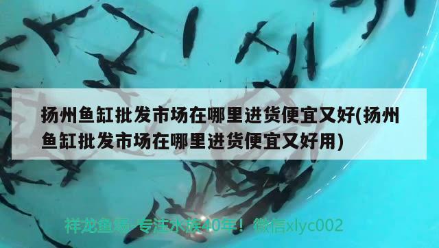 揚州魚缸批發(fā)市場在哪里進貨便宜又好(揚州魚缸批發(fā)市場在哪里進貨便宜又好用)