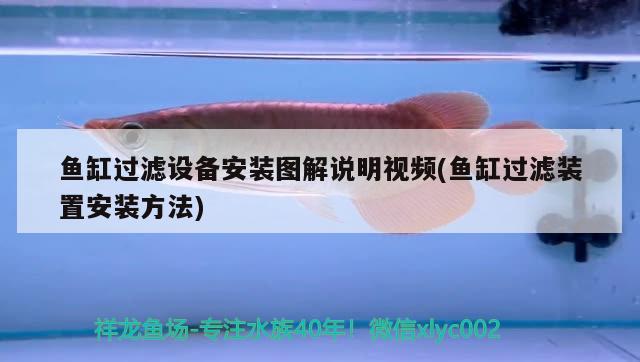 魚缸過濾設(shè)備安裝圖解說明視頻(魚缸過濾裝置安裝方法)