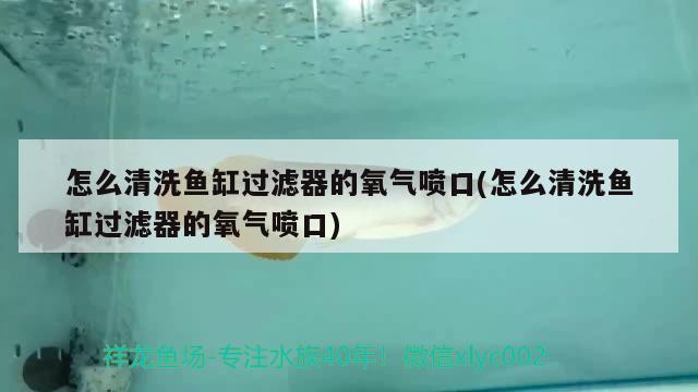 怎么清洗魚(yú)缸過(guò)濾器的氧氣噴口(怎么清洗魚(yú)缸過(guò)濾器的氧氣噴口)