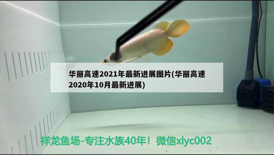 華麗高速2021年最新進(jìn)展圖片(華麗高速2020年10月最新進(jìn)展)