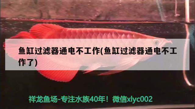 魚缸過(guò)濾器通電不工作(魚缸過(guò)濾器通電不工作了) 小型觀賞魚