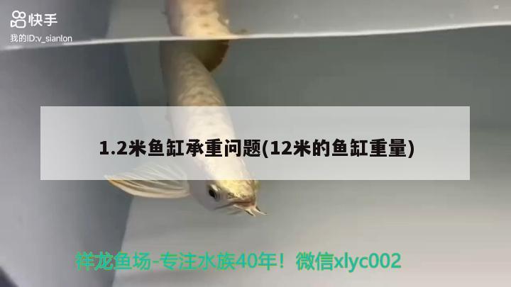 1.2米魚缸承重問題(12米的魚缸重量)