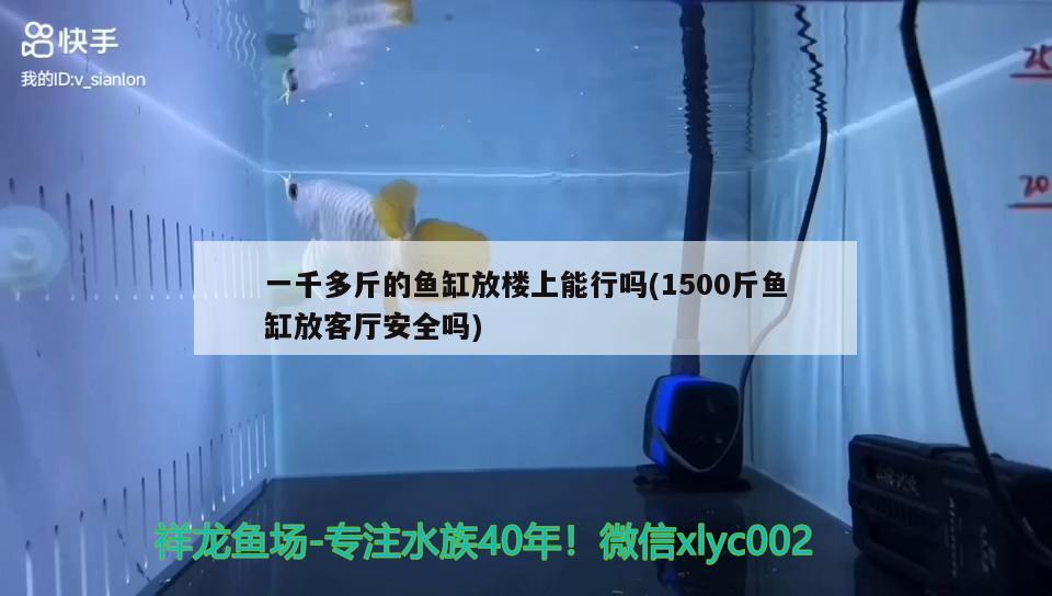 一千多斤的魚缸放樓上能行嗎(1500斤魚缸放客廳安全嗎) 龍魚百科