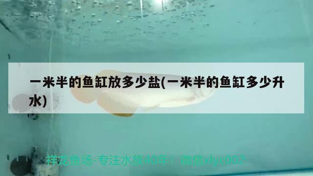 一米半的魚缸放多少鹽(一米半的魚缸多少升水) 胭脂孔雀龍魚