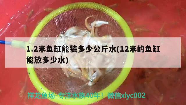 1.2米魚(yú)缸能裝多少公斤水(12米的魚(yú)缸能放多少水)