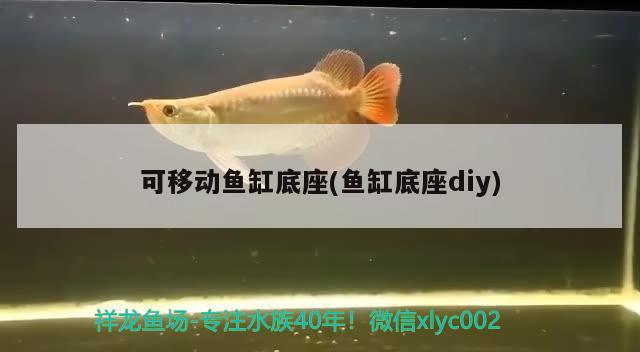 可移動(dòng)魚缸底座(魚缸底座diy)