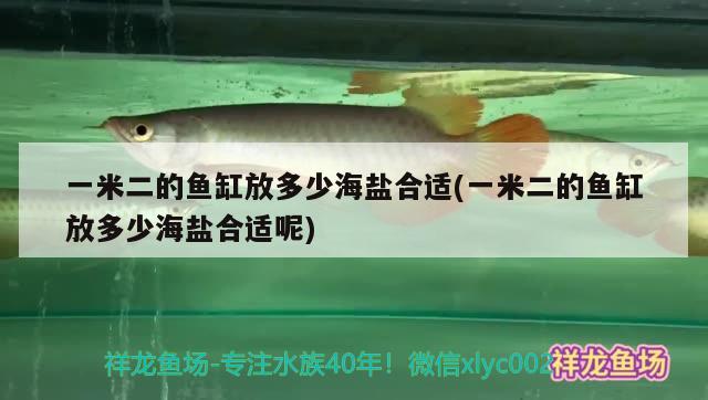 一米二的魚(yú)缸放多少海鹽合適(一米二的魚(yú)缸放多少海鹽合適呢)