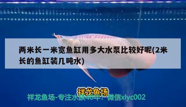 兩米長一米寬魚缸用多大水泵比較好呢(2米長的魚缸裝幾噸水) 白條過背金龍魚 第2張