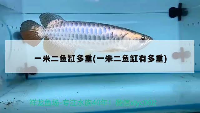 一米二魚缸多重(一米二魚缸有多重) 南美異形觀賞魚