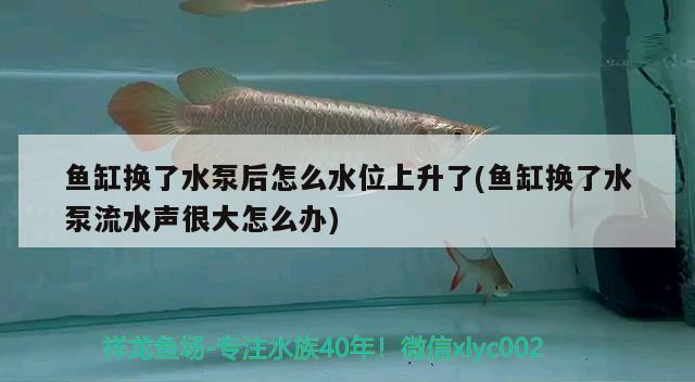 魚(yú)缸換了水泵后怎么水位上升了(魚(yú)缸換了水泵流水聲很大怎么辦) 二氧化碳設(shè)備