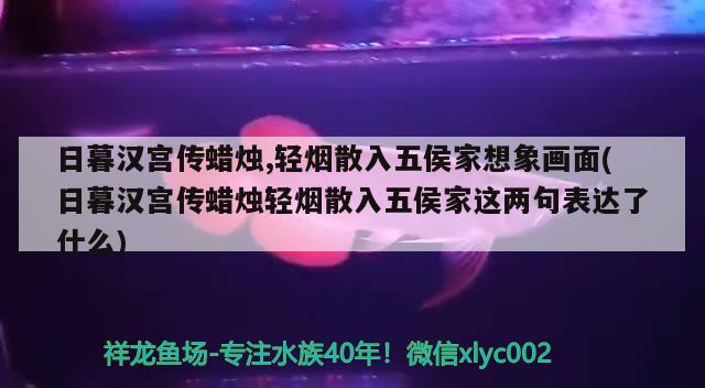 日暮漢宮傳蠟燭,輕煙散入五侯家想象畫面(日暮漢宮傳蠟燭輕煙散入五侯家這兩句表達了什么)