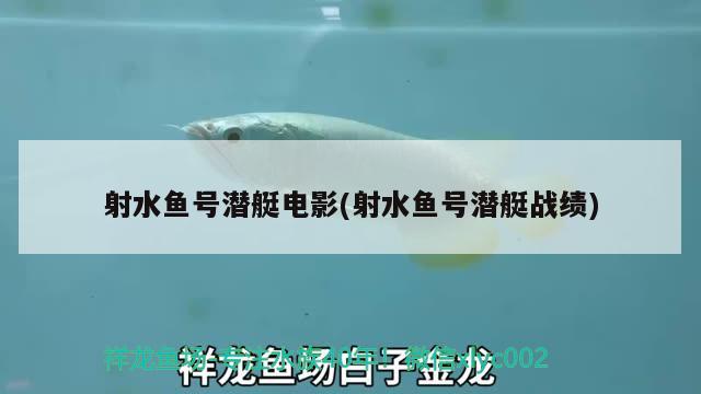 射水魚號潛艇電影(射水魚號潛艇戰(zhàn)績)