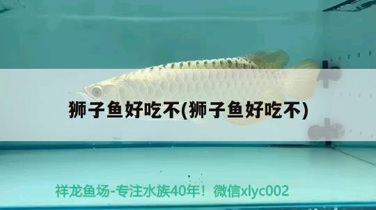 獅子魚好吃不(獅子魚好吃不)