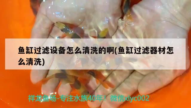 魚缸過濾設備怎么清洗的啊(魚缸過濾器材怎么清洗)