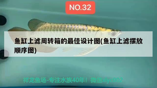 魚缸上濾周轉箱的最佳設計圖(魚缸上濾擺放順序圖) 馬拉莫寶石魚