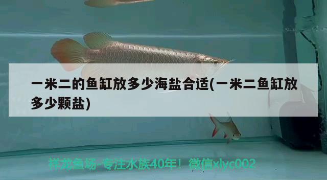 一米二的魚(yú)缸放多少海鹽合適(一米二魚(yú)缸放多少顆鹽)