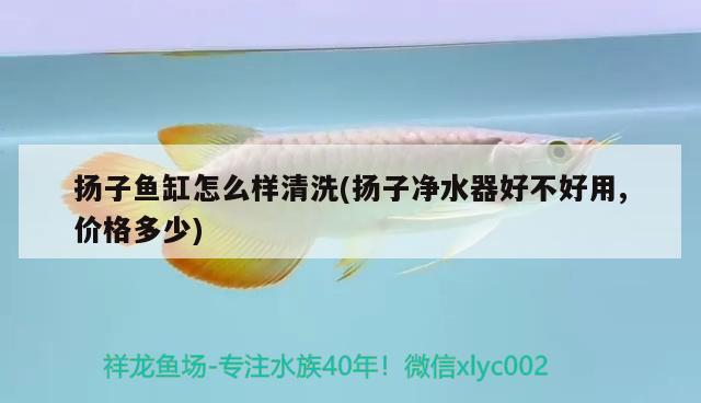 揚(yáng)子魚缸怎么樣清洗(揚(yáng)子凈水器好不好用,價格多少)