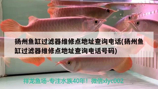 揚(yáng)州魚缸過濾器維修點(diǎn)地址查詢電話(揚(yáng)州魚缸過濾器維修點(diǎn)地址查詢電話號(hào)碼) 朱巴利魚